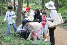 생태미술 동호회 ‘숲쟁이’ – 봄 숲 알아보기