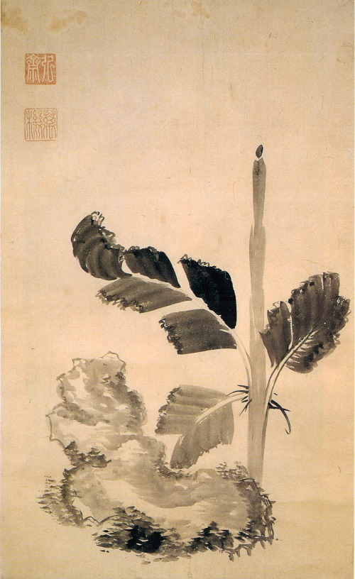 정조의 파초 그림, 정조, 조선 18세기, 보물 제743호, 동국대학교박물관